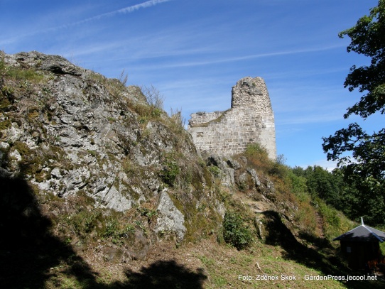 Přimda,hrad No.2