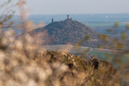 Košťálov -  vrchol a zřícenina hradu