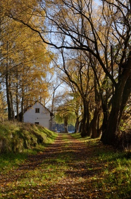 podzim na Slapech 