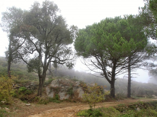 Monastir (klášter) de Sant Pere de Rodes