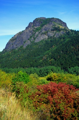 Bořeň