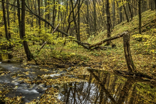 Podzim v Údolí Říčky