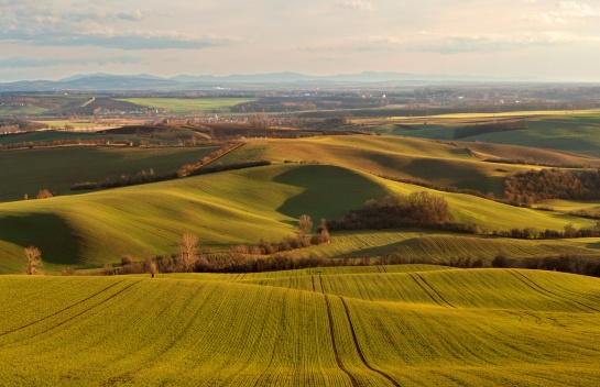 Zimní pole v podvečer