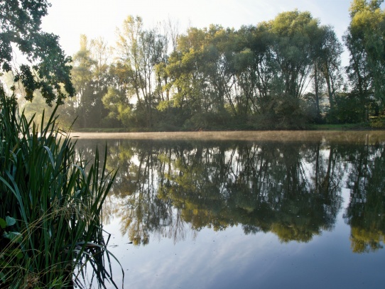 Dolní Poohří