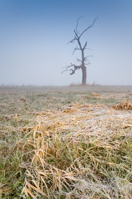 Solitér na Pohansku