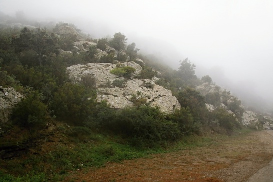  Monastir (klášter) de Sant Pere de Rodes