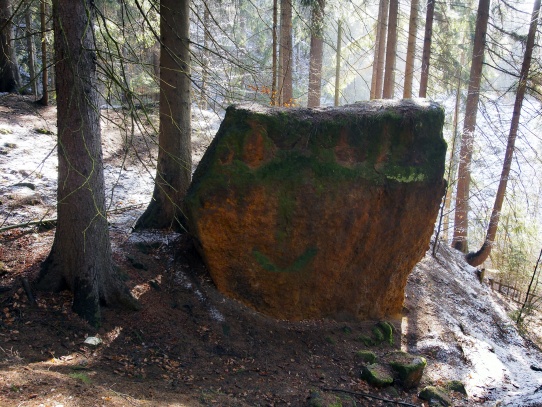 Skála v lese