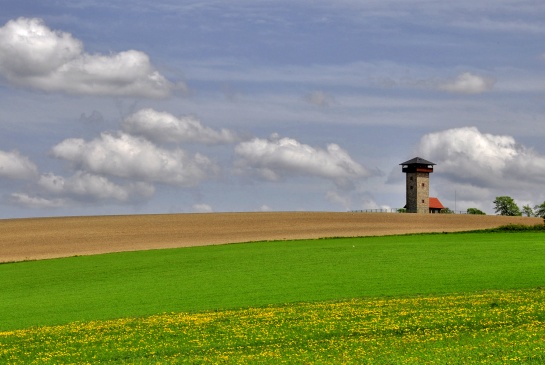 rozhledna U borovice