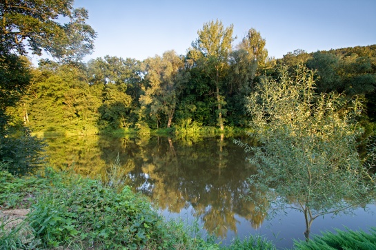 Dolní Poohří