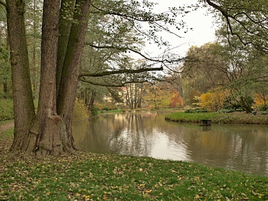 Zámek Častolovice-zahrada