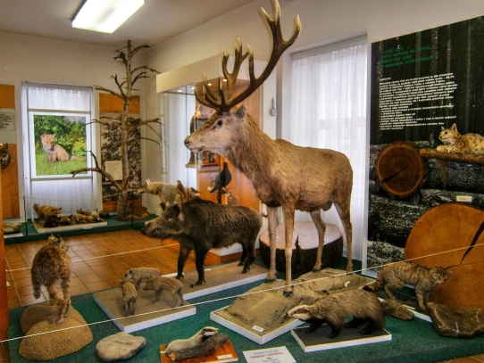 Muzeum Kašperské Hory