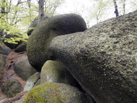 Oldřichovské háje a skály