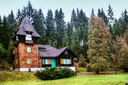 Bílá