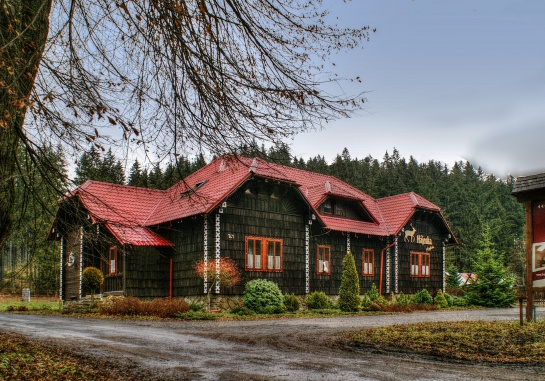 Bílá