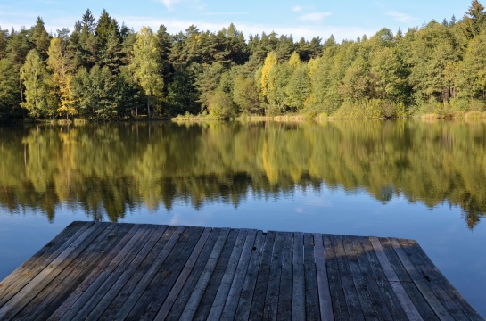 Sobenský rybník s poklidnou hladinou 