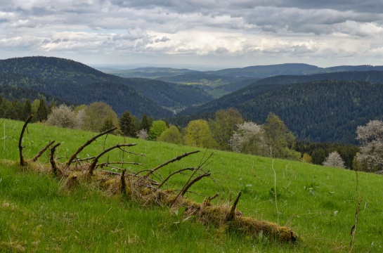 Klostermannova vyhlídka u Srní