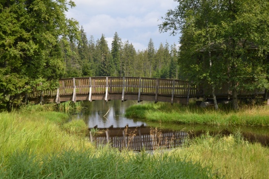 Kladská