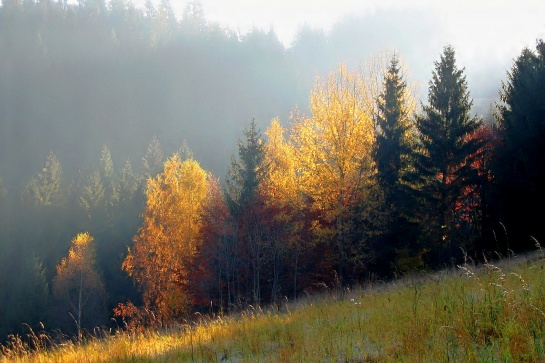 Velké Karlovice - příroda