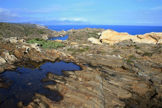 Cap de Creus