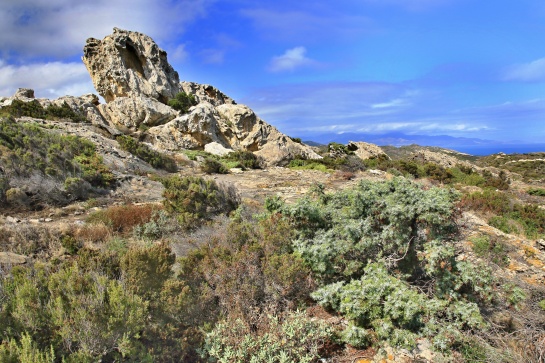 Cap de Creus