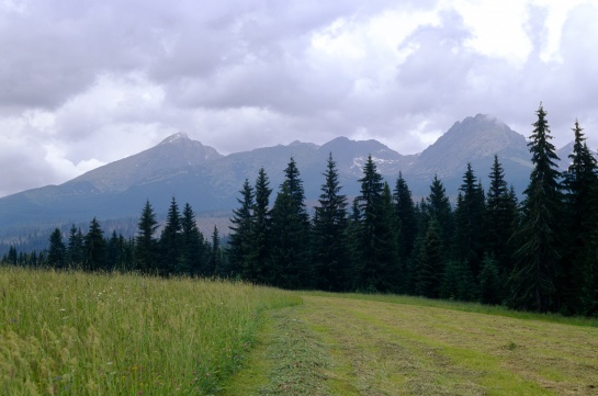 Vysoké Tatry od Tatranské Štrby