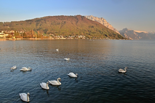 Jezero Traunsee u města Gmunden