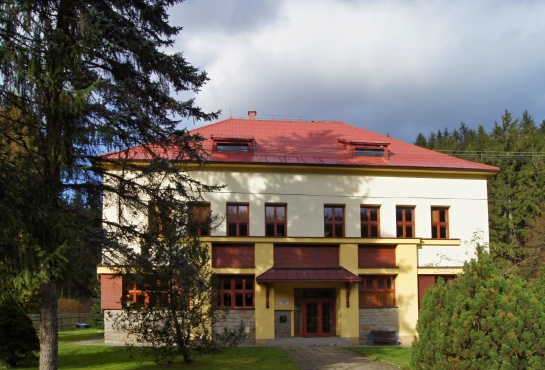 Bílá