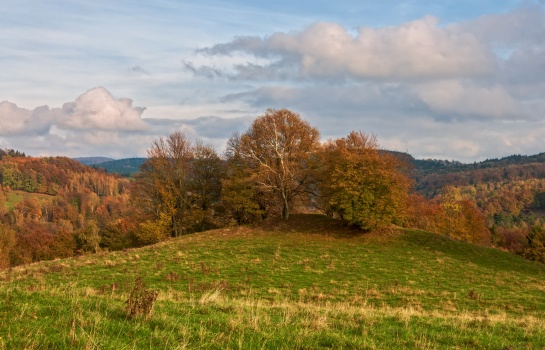 Lipka