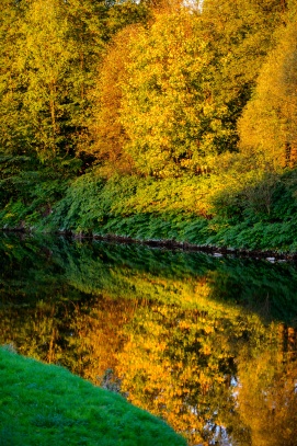 Podzimní řeka Olše u Českého Těšína