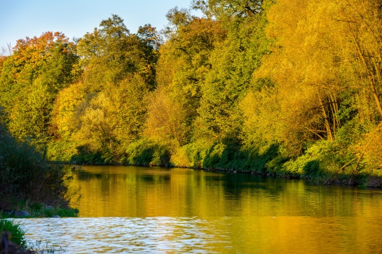 Podzimní řeka Olše u Českého Těšína