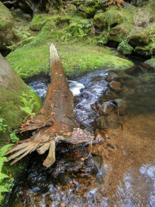 Kyjovské údolí