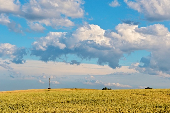 Krajina nad Kostelcem