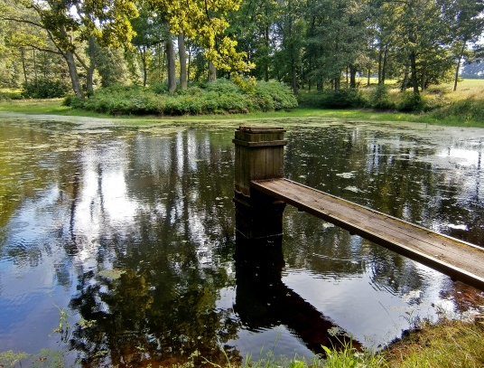 Dámský rybník