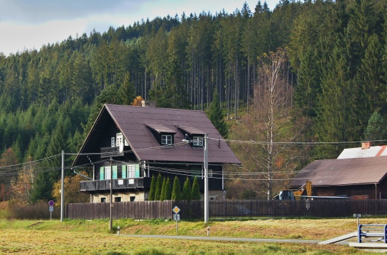 Bílá