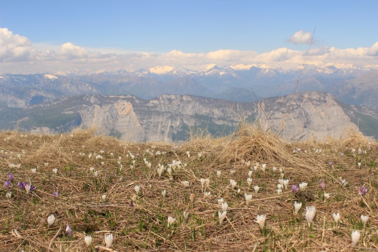 Výhled při výstupu na Monte Cornetto