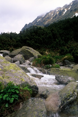 Mengusovská dolina, Vysoké Tatry