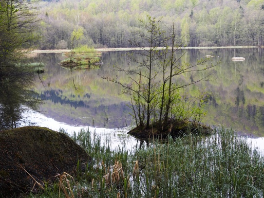Šolcův rybník v Jizerských horách