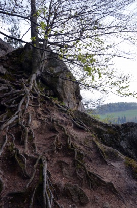 pulčinské skály