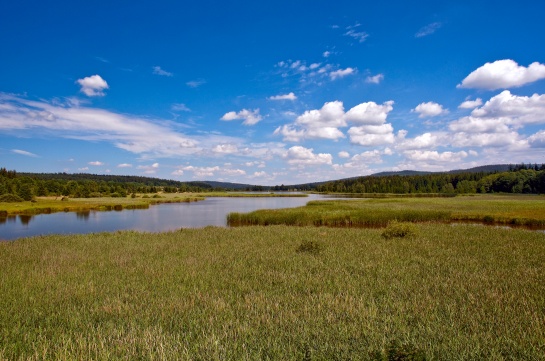 Brdy - Dolejšíí padrťský rybník