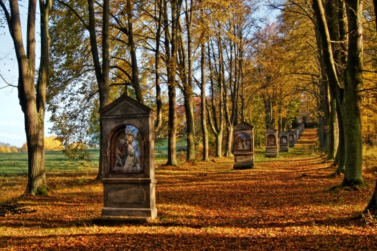 Křížový vrch - kalvárie ve Cvikově