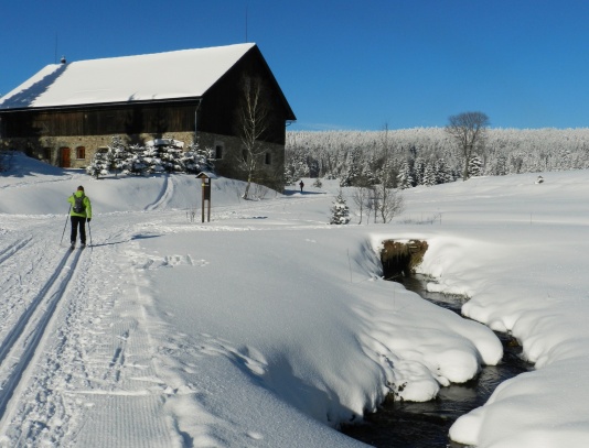 Šumava