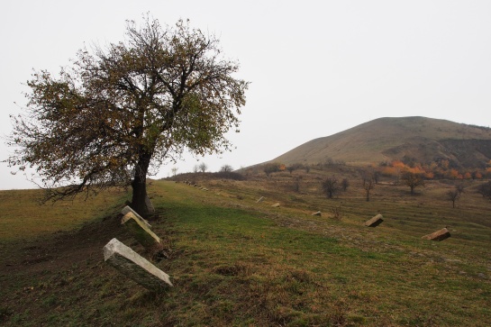 Cesta na Ranou