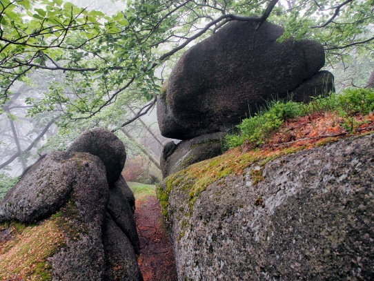 Oldřichovské háje a skály
