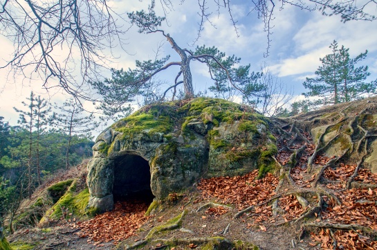 Zřícenina skalního hradu Kavčiny - Hruboskalsko