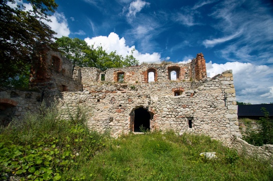 Zřícenina hradu Starý Rybník