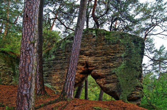 Kokořínsko