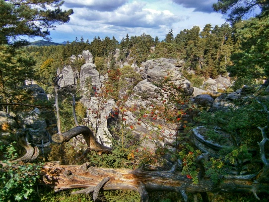 Prachovské skály