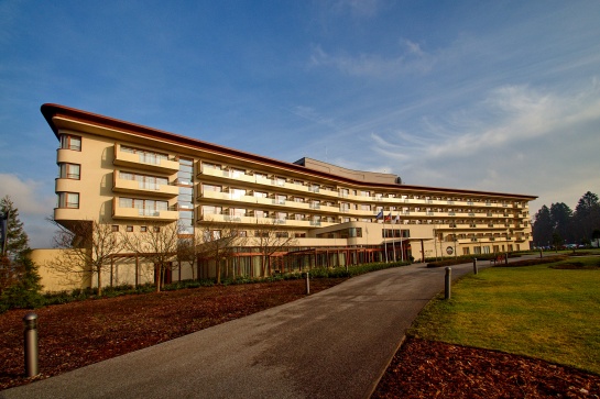 Hotel Tree of life - Lázně Bělohrad