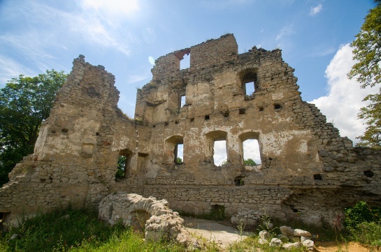 Zřícenina hradu Starý Rybník