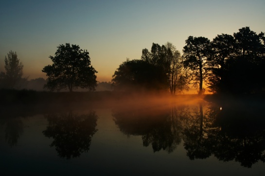 Ráno u rybníka